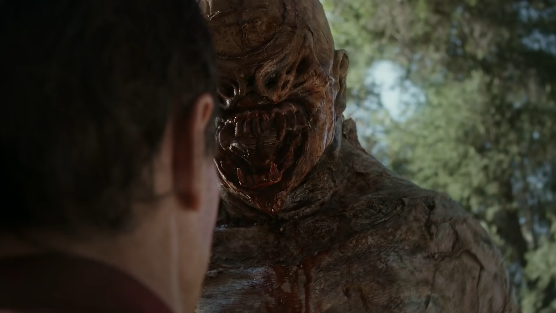 The Door in the Woods 2018 WEB-DL 1080p.mkv_snapshot_11.30.png