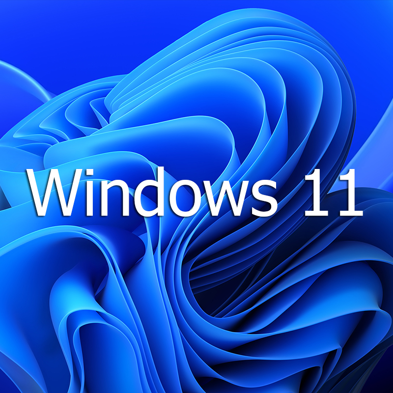 Microsoft Windows 11 Professional Version 22H2 Updated December 2022