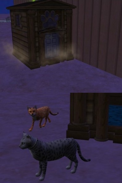 Screenshot - 17.02.2009 , 21_48_31.jpg