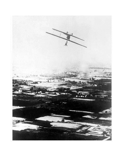 355118_original.jpg