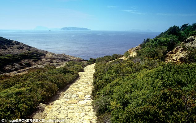 579.jpg