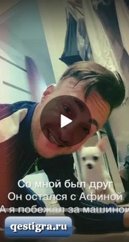 Собаку Алексея Безуса насмерть сбила машина 