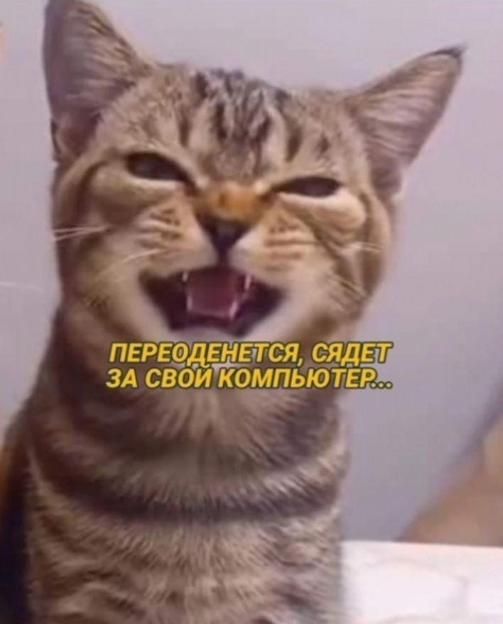 p03.jpg