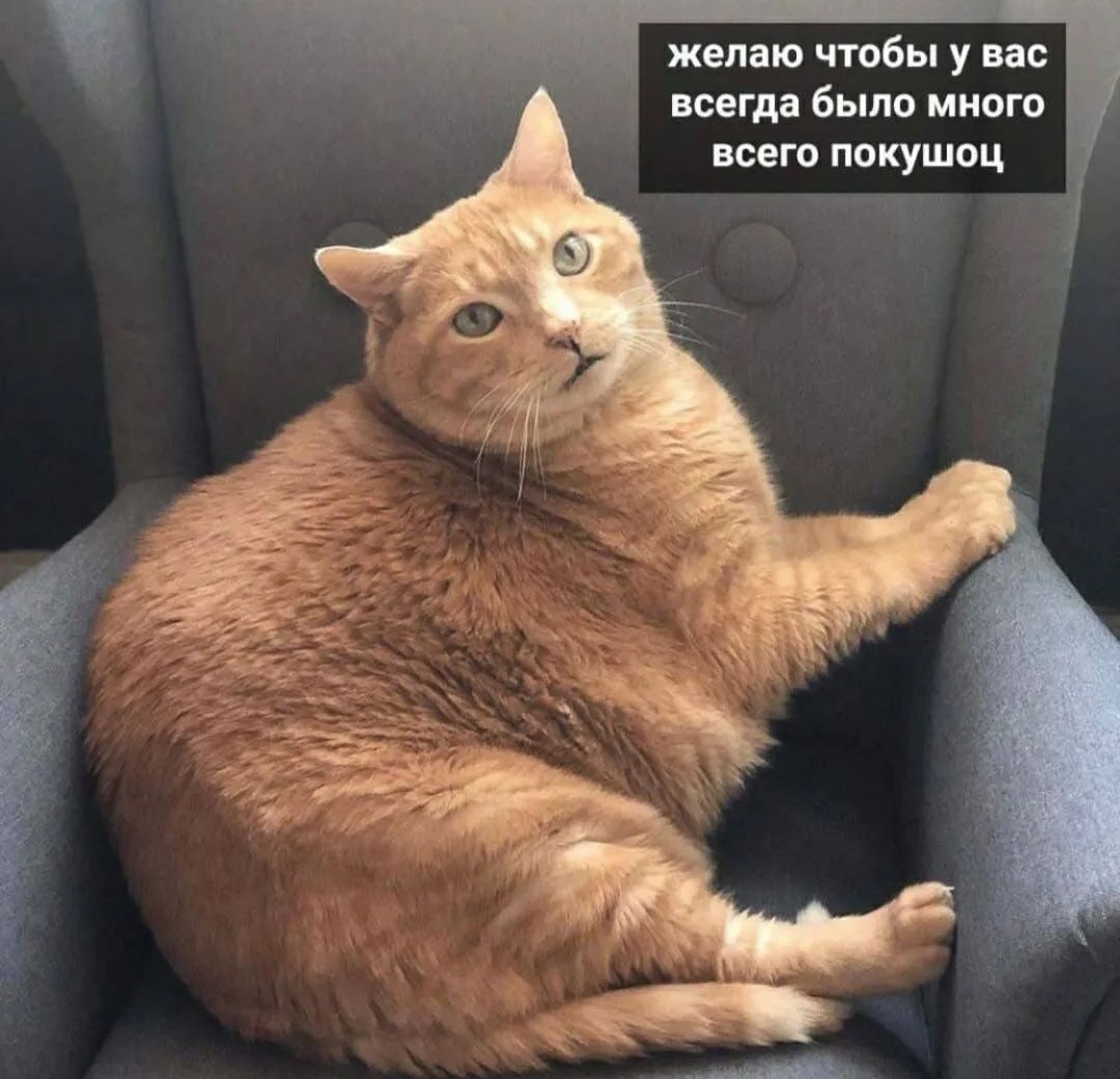 sBDpdqvyPiM 2.jpg