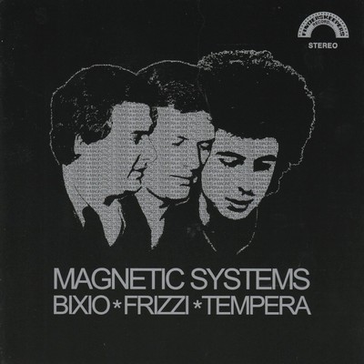 Magnetic Systems