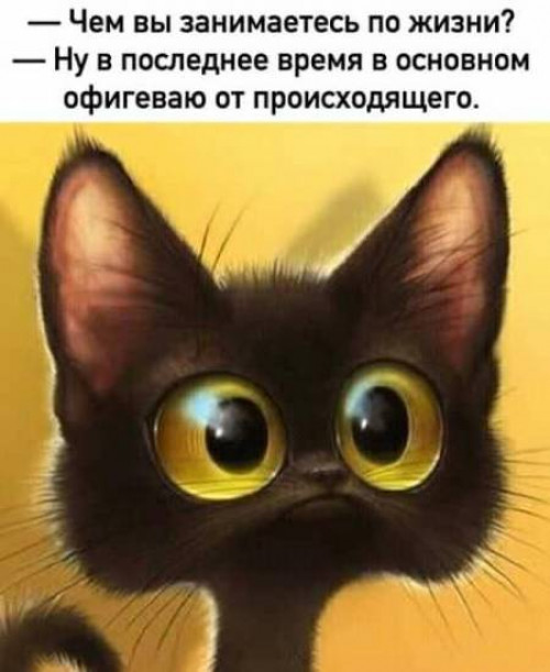 80jcnmfTOE8.jpg