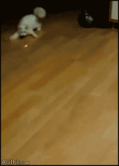 ca341bb4196f57607d37eda685996ce1.gif