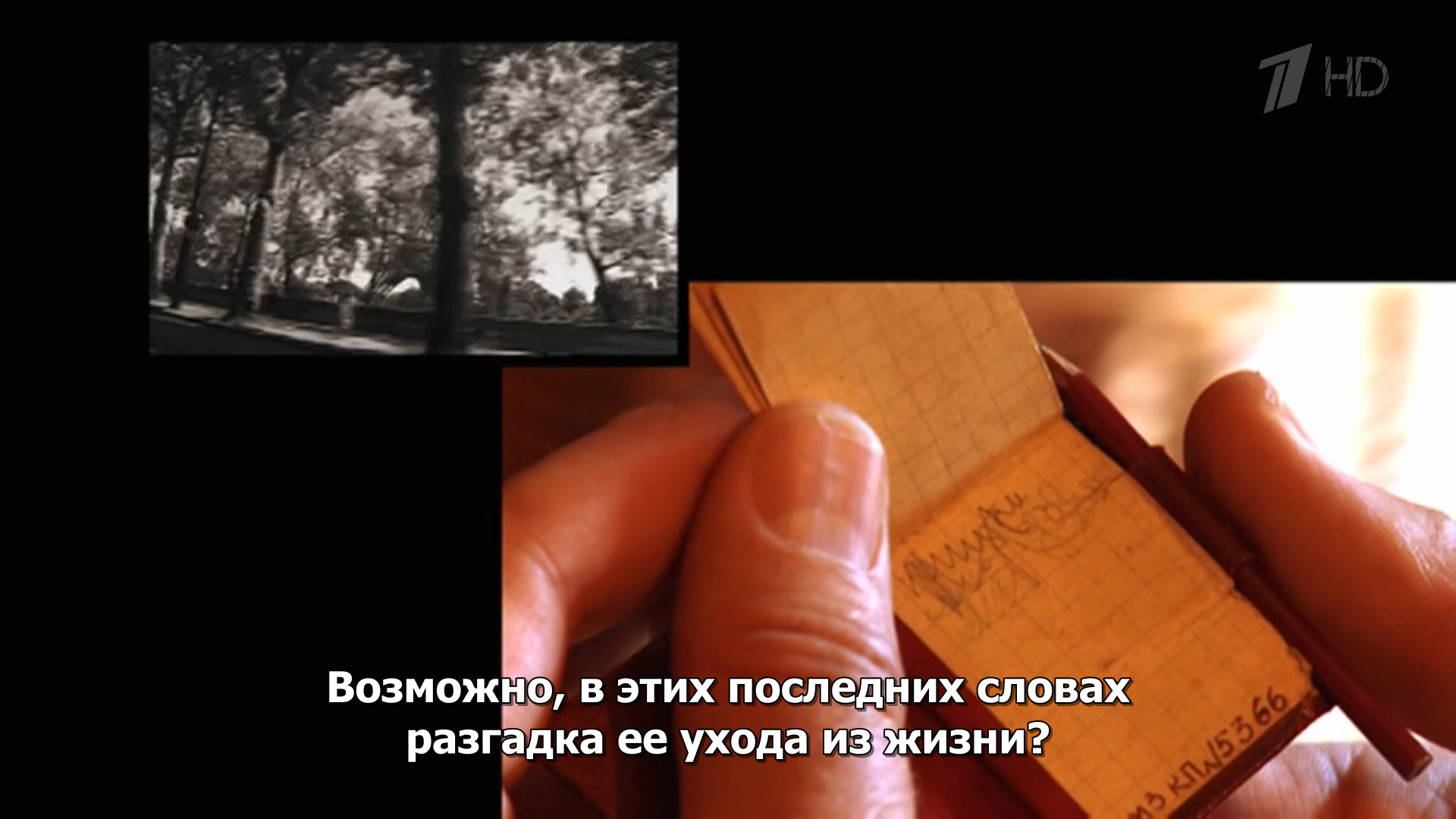 Цветаева.Предсказание.2012.HDTV.1080i-ylnian.mkv_snapshot_02.38.441.png