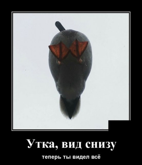 9 (197).jpg