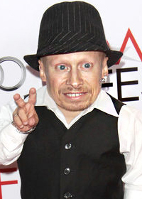 Верн Тройер