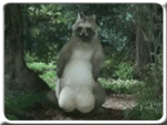 d90ffff13b5e106500b4c6b4f0818a2c.gif