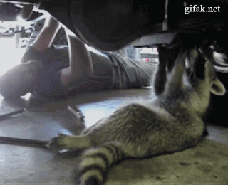 e1fcd86d00e221830258776bc5b57e0c.gif