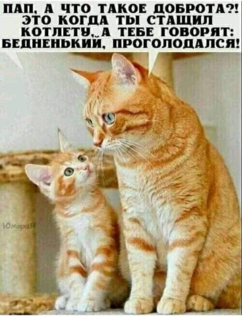 TcugJYkupwo.jpg