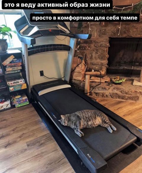 omem.f.jpg