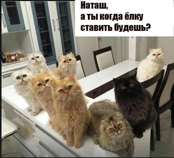 Посмеялся сам - поделись с другом!!!