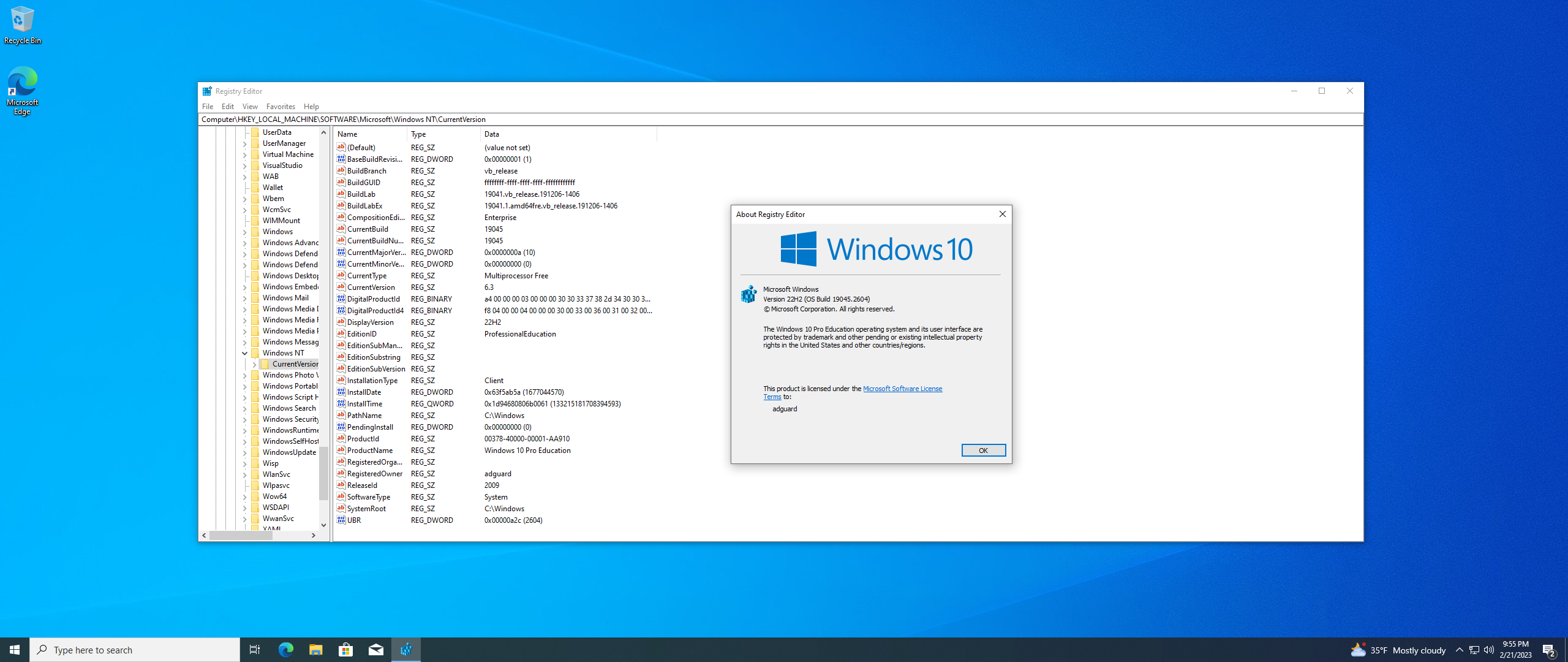 Microsoft Windows 10.0.19045.2604, Version 22H2 (Updated February 2023) - Оригинальные образы от Microsoft MSDN [En]