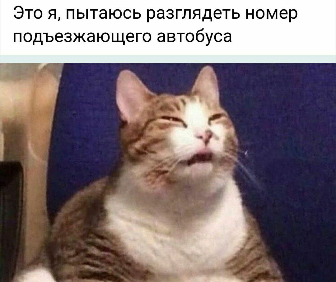pLkZvyYA.jpg