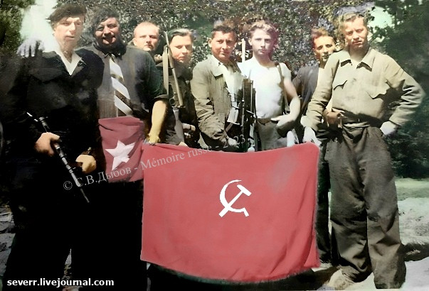 29.jpg