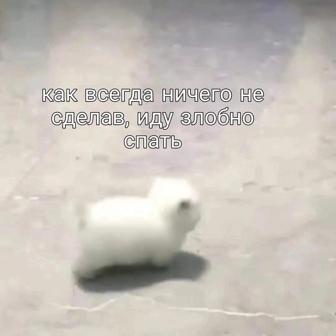 00.jpg