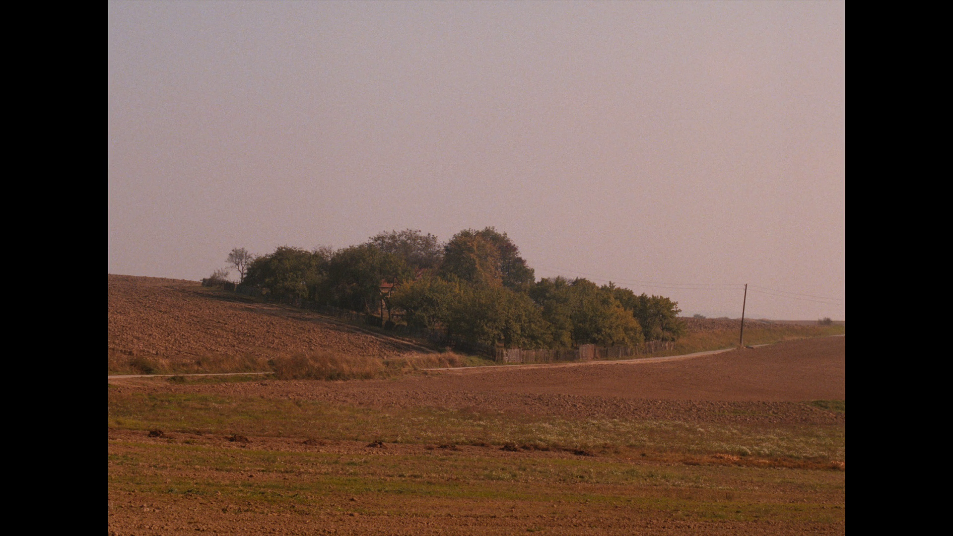 vlcsnap-2023-06-02-00h10m41s530.png