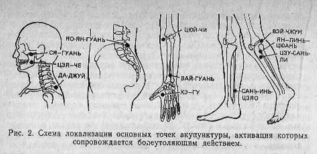 https://i4.imageban.ru/out/2023/06/18/75ea6a23d2cdbde8b2026f97996c0c4a.jpg