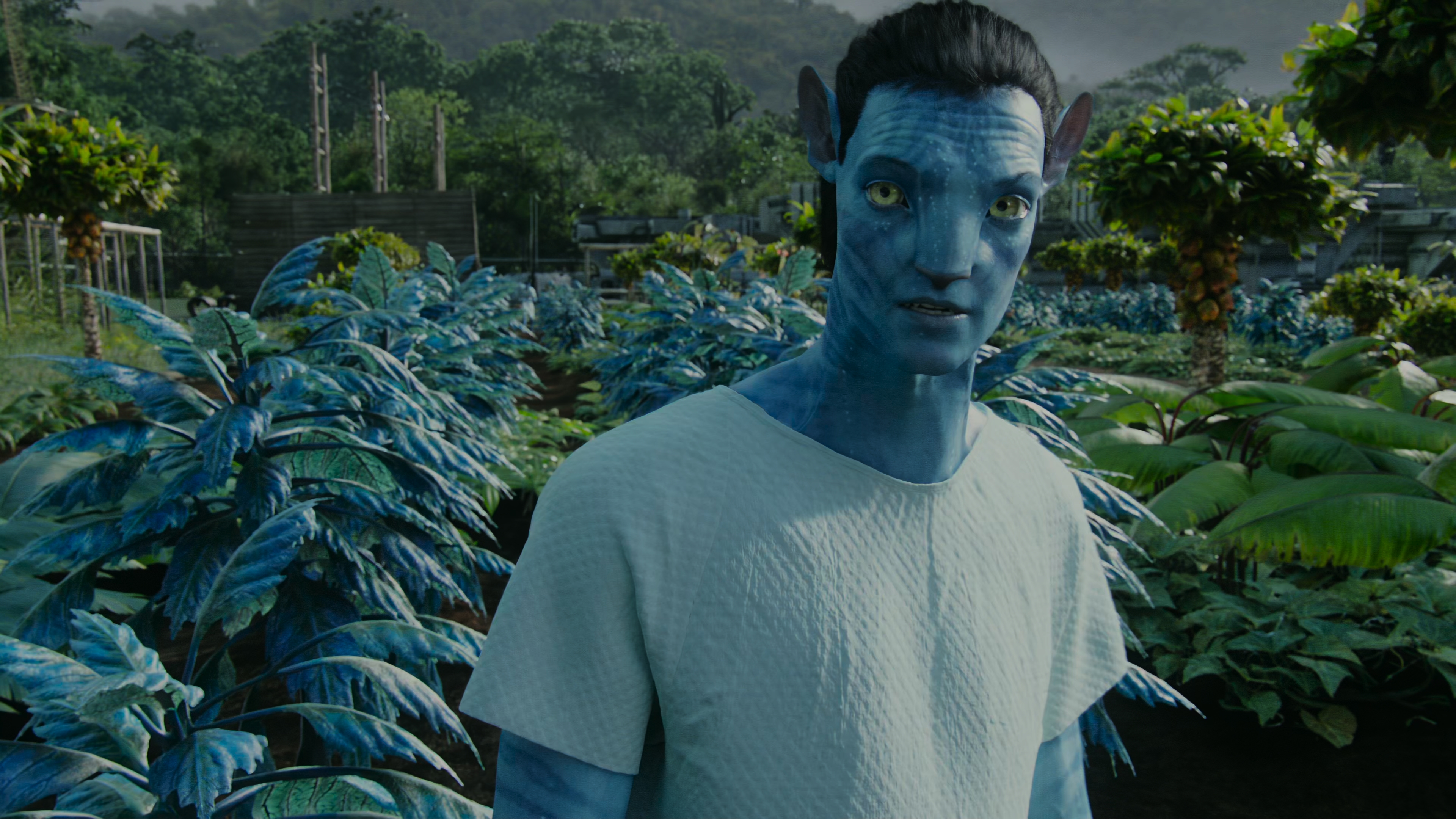 Аватар (Avatar) 2009.mkv_snapshot_00.18.51.130.jpg