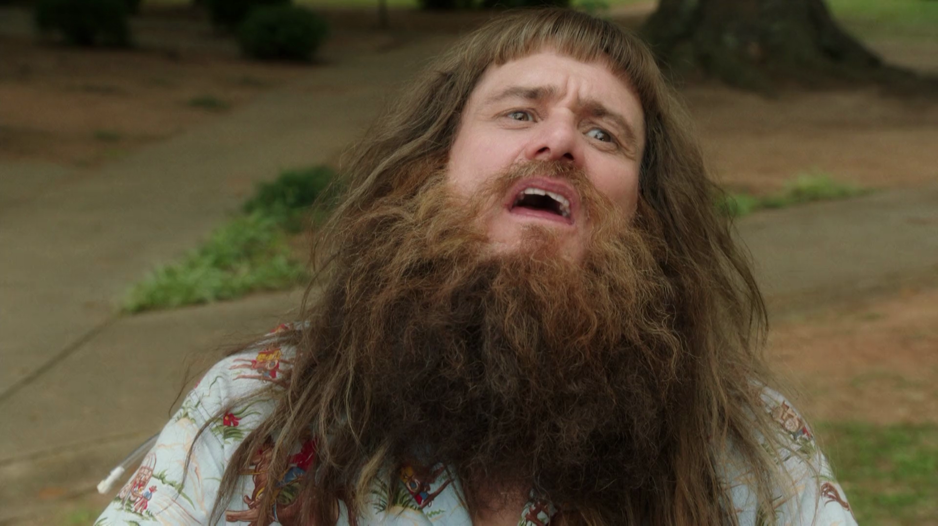Dumb.and.Dumber.To.2914.WEB-DL.1080p.Open.Matte.mkv_20230730_103639.545.png