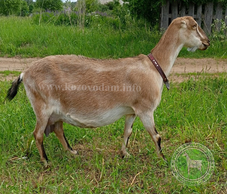 Ясная 1 MoyaLamancha.jpg