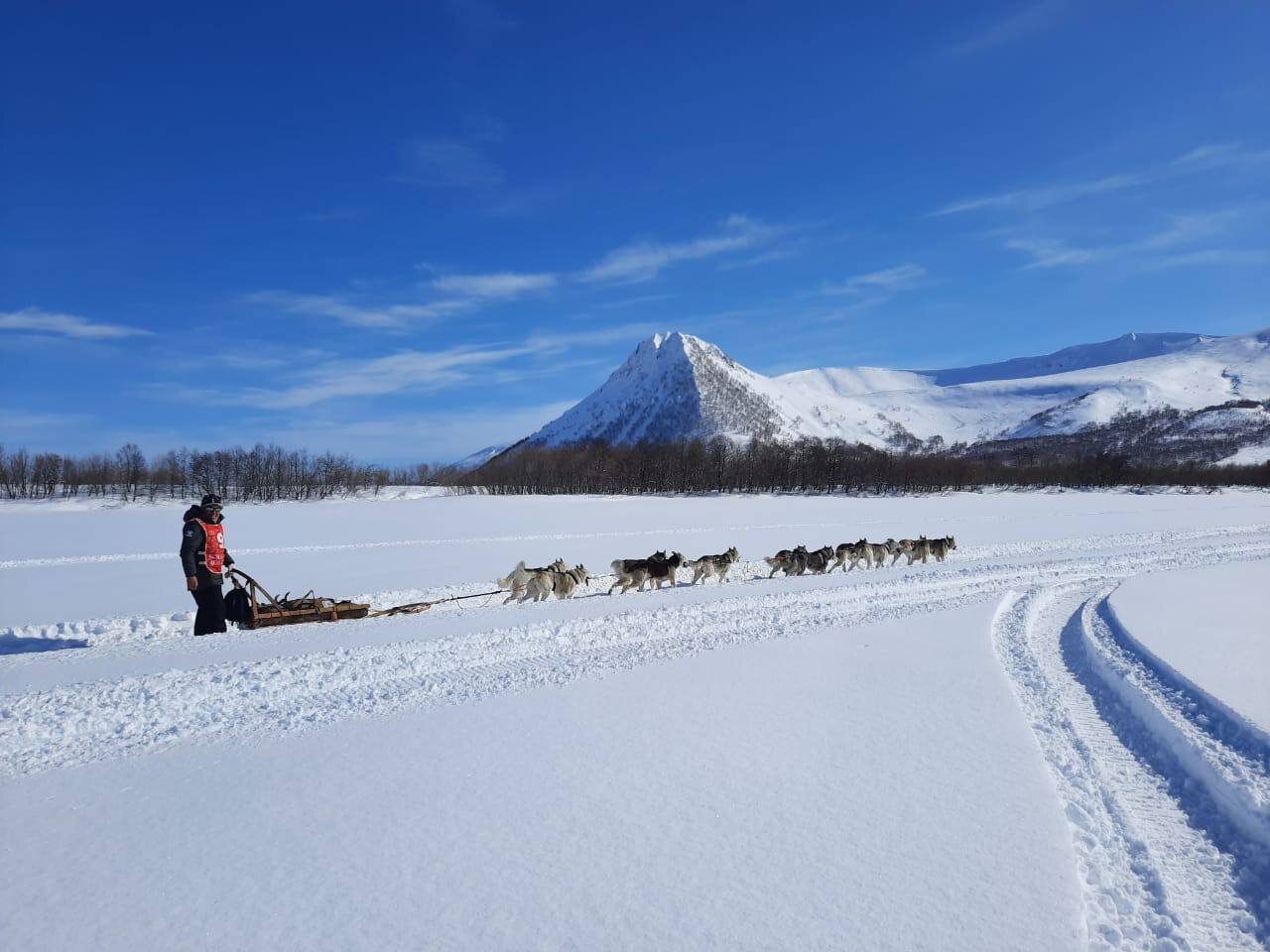 Зимний отдых на Сахалине: снегоходы, собачьи упряжки и охота на крабов в уникальных ледопадах