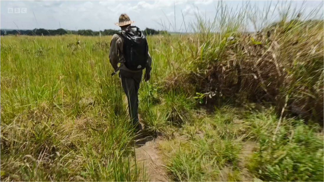 BBC Wilderness With Simon Reeve 1of4 Congo [1080p] (x265) 400533aca491d388a2843529d18e51d4