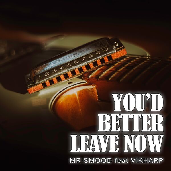 Mr. Smood-You'd Better Leave Now-(2024)-WEB [FLAC] 16BITS 44.1KHZ 4196872c1e79c29f03354e9be3cfac4c