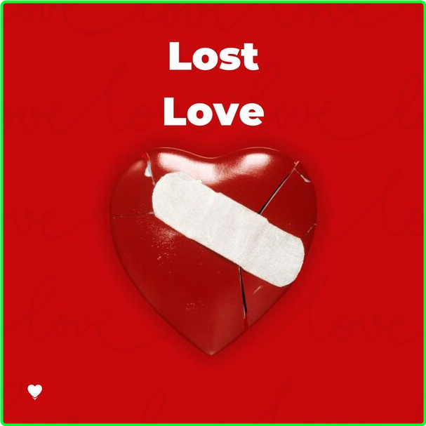 Various Artists - Lost Love (2024) Mp3 320kbps 3daca9edb40267fc257ac9e9482225a3