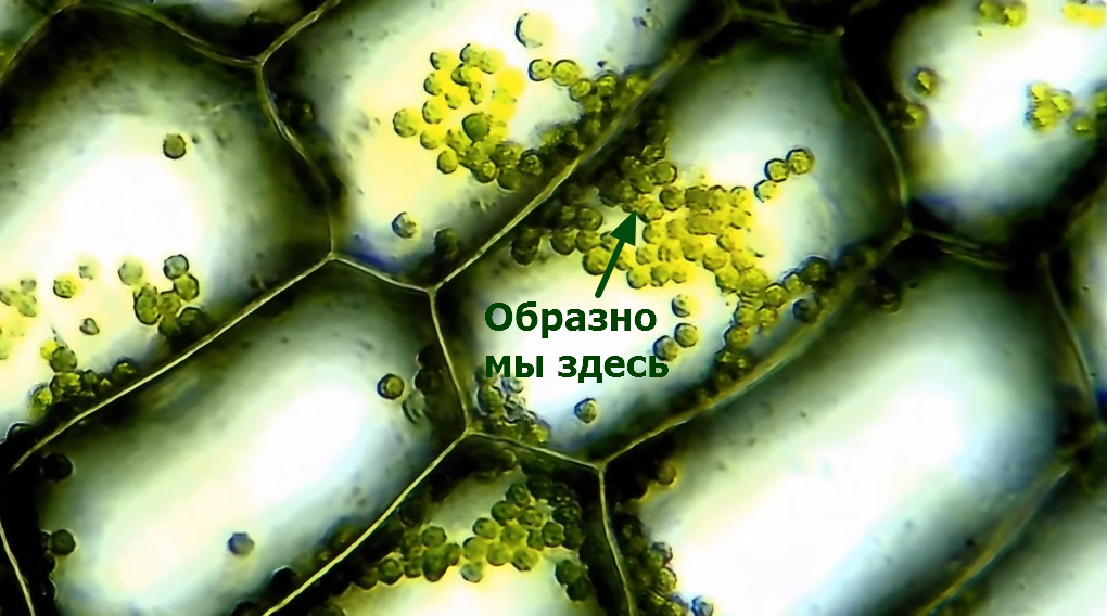 https://i4.imageban.ru/out/2024/02/11/9e9fde4cd7dde8c4026d5a84a5f5b3f6.jpg