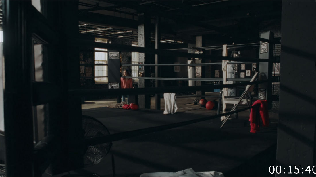 The Boxer And The Butterfly (2023) [1080p] WEB (x265) [6 CH] 819078c40da70f1d409d467760425b51