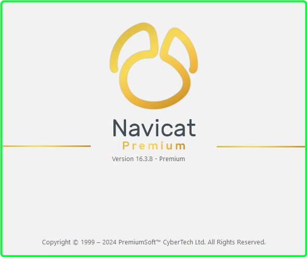 Navicat Premium 16.3.8 853e9cd084c244a8d457ad29acf4148f