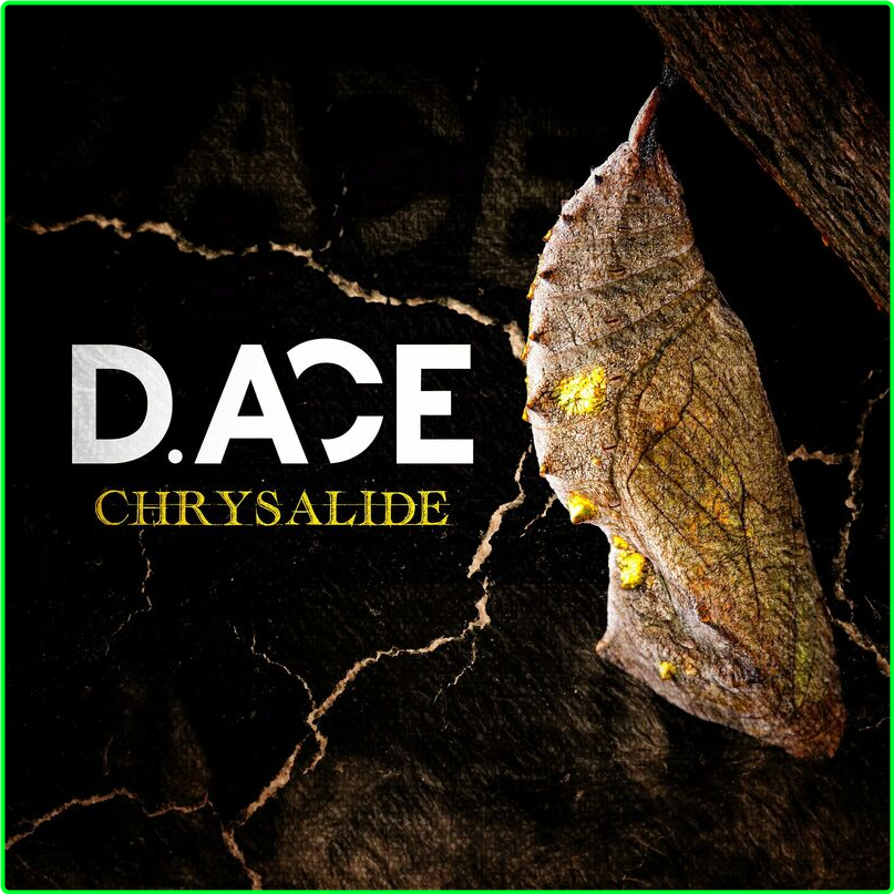 D ACE Chrysalide (2024) [320 Kbps] D19cd69db1c0aec4455c18df2a68b9df