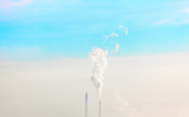 «Интер РАО» и «Росэнергоатом» договорились о компенсации углеродного следа