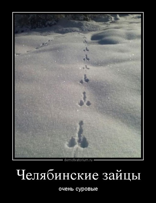 изображение_2024-04-08_183037088.png