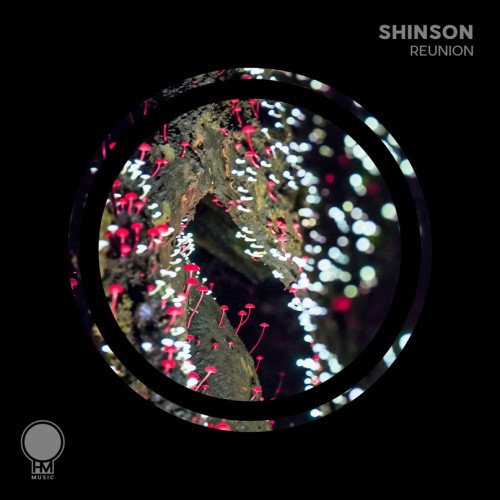 Shinson - Reunion (Extended Mix) .mp3