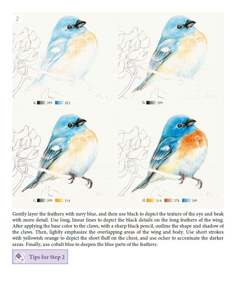 Birds and Flowers in Colored Pe - Niao Fei Le_58.jpg
