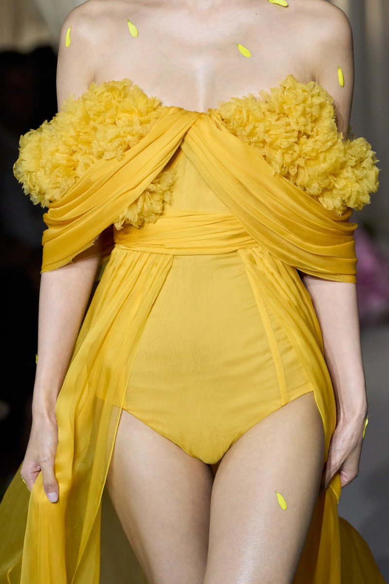 00003-giambattista-valli-fall-2024-couture-details-credit-gorunway.webp