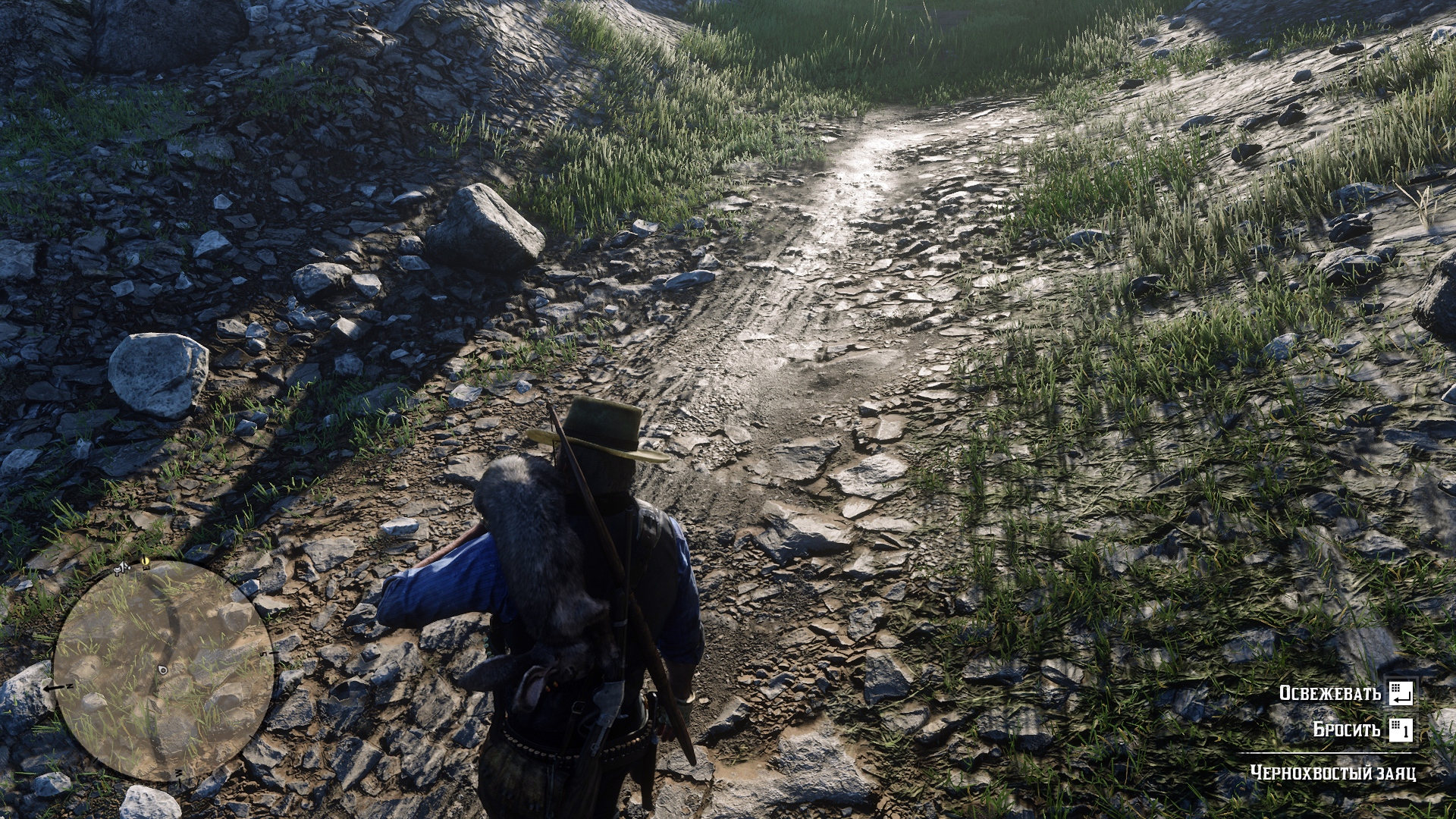 RDR2_2024_07_03_00_52_49_671.jpg