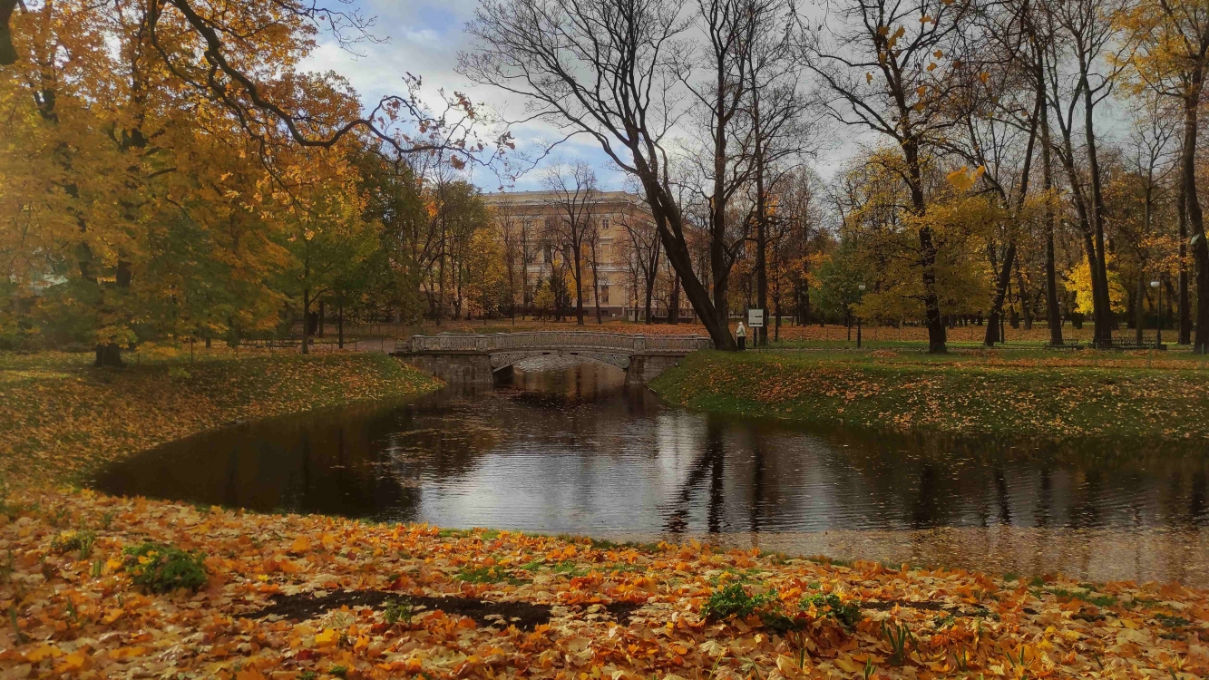 2024-10-23 15-23-47.JPG