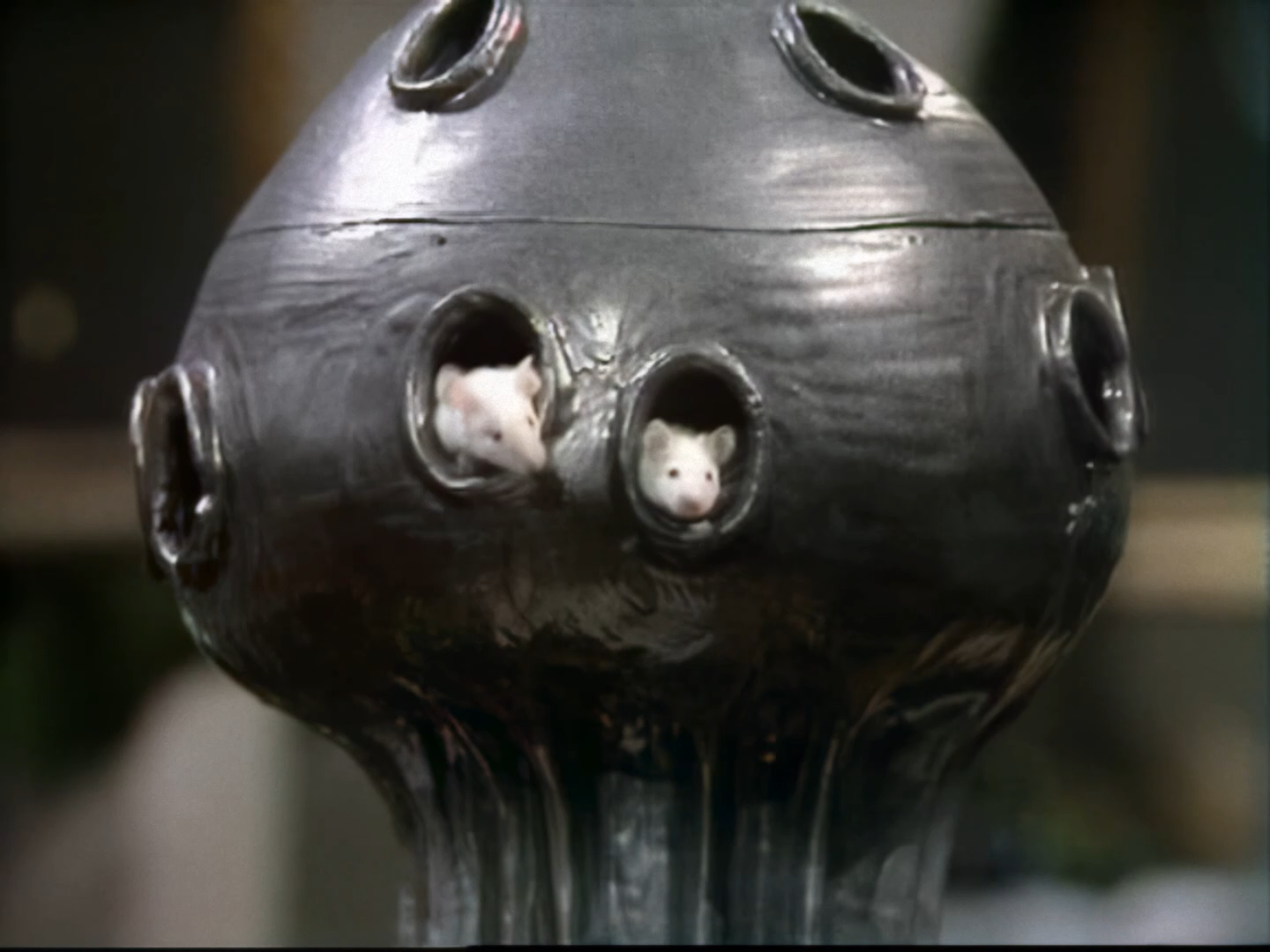 Hitchhiker's.04 1080.mkv_snapshot_24.57.040.png