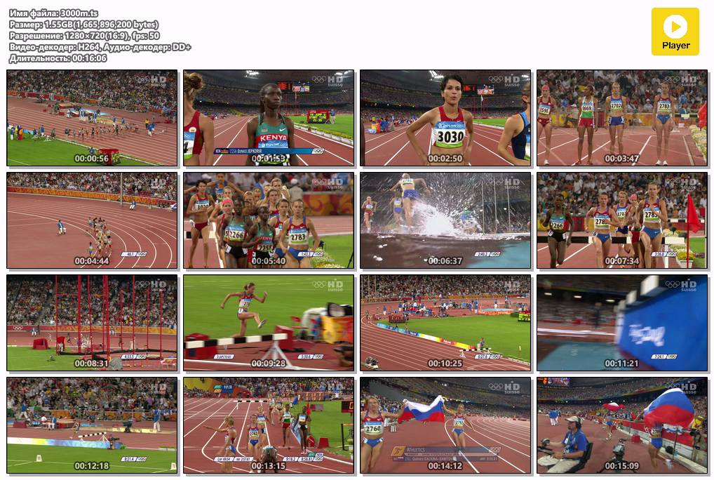 3000m.ts.png