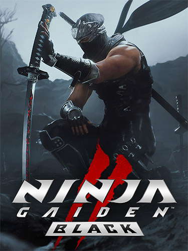 NINJA GAIDEN 2 Black, v1.0.5.0