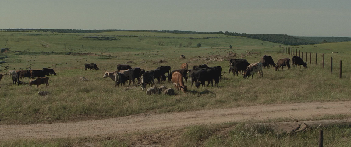 Убийцы цветочной луны (2023) HDRip-AVC_ivanes.mkv_20250310_161603.380.png