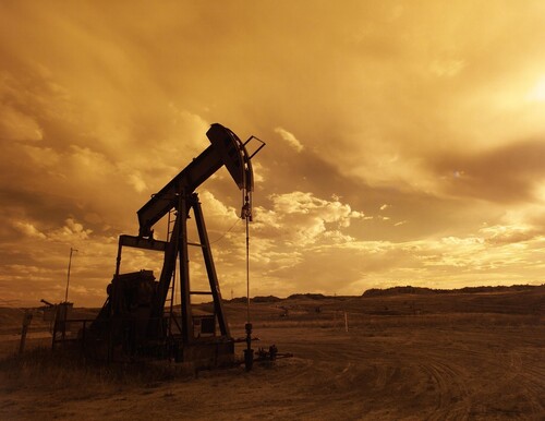 Страны ОПЕК+ нарастили нефтедобычу на 300 тыс б/с в феврале