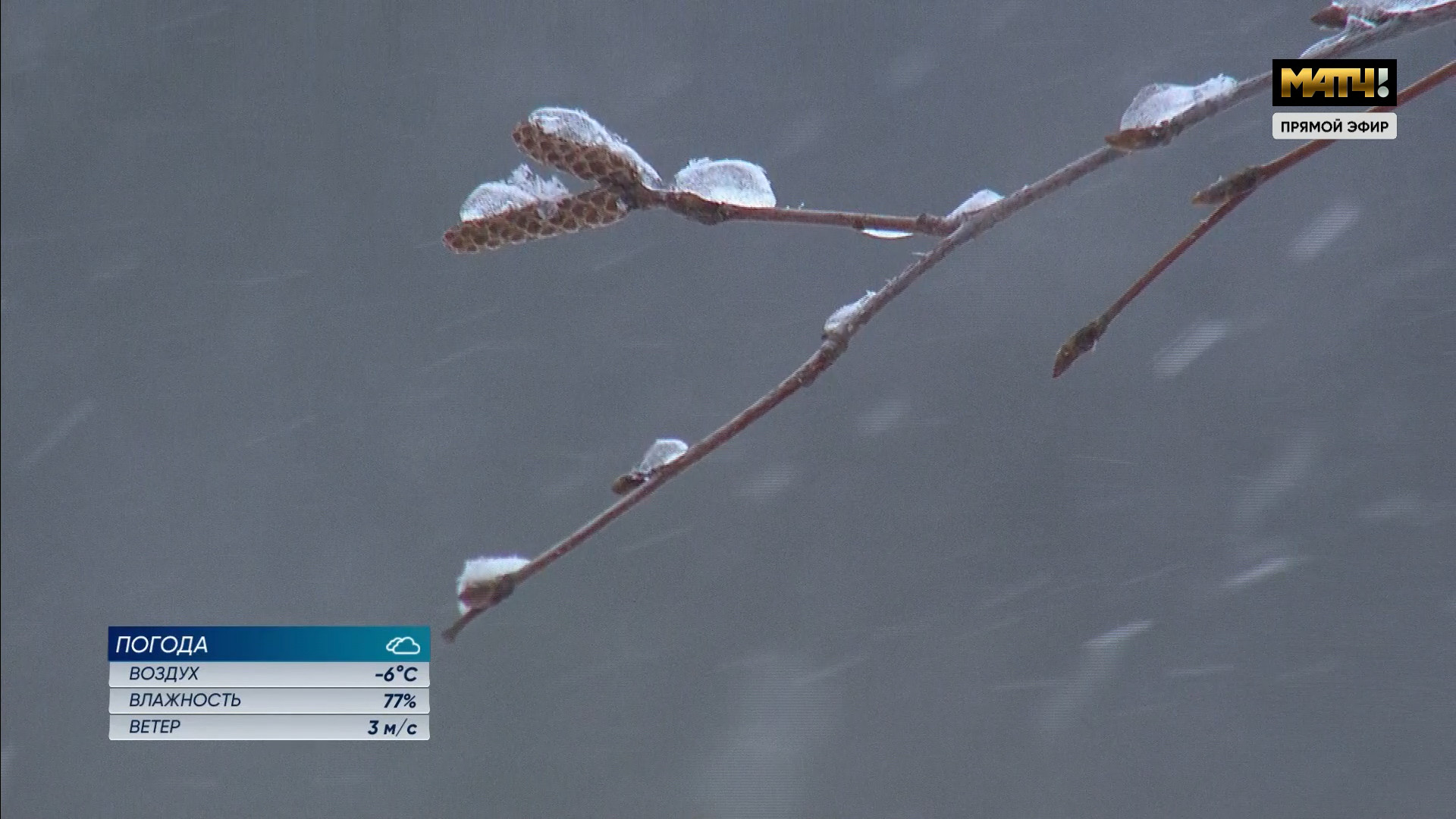 cap_ch308_1743835800_10000 (02)_00_01_25_02.jpg