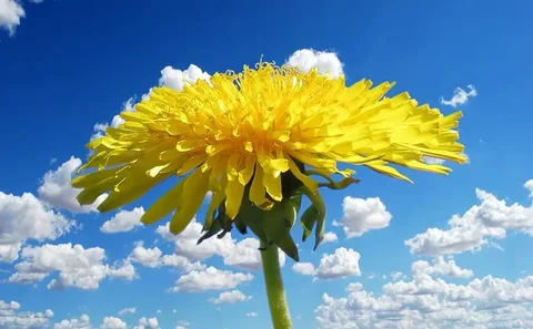 https://i4.imageban.ru/out/2025/05/13/6f35fa9d4a3f407be6ef9b00828b23a3.webp